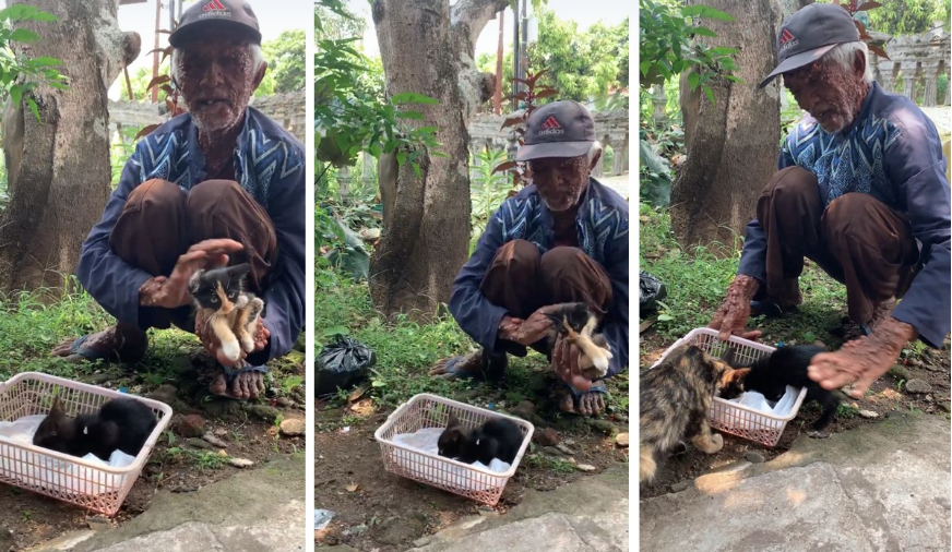 Bantu Teman Indonesia